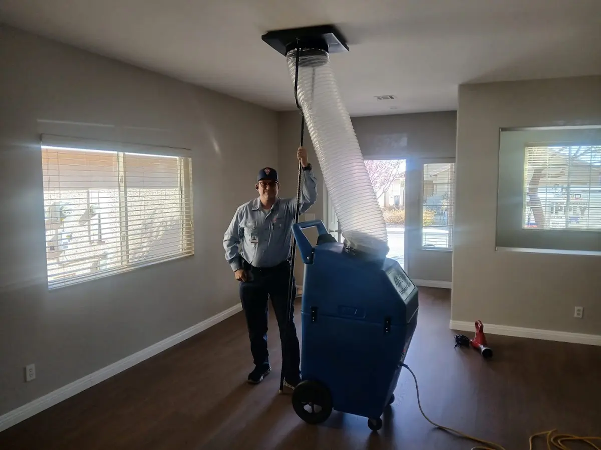Professional Dryer Vent Cleaning work inside a Lakewood home